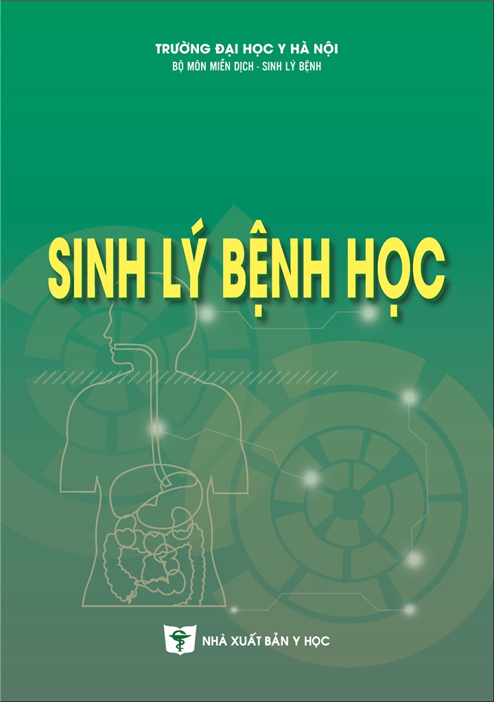 Hình ảnh thu nhỏ